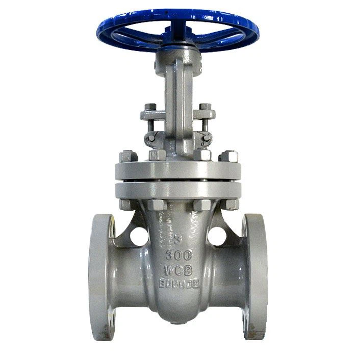 ANSI WCB Gate Valve Flanged