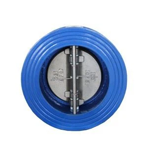 Cast Steel Flanged Swing Check Valve